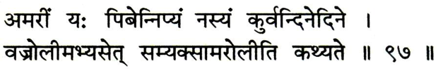 Sanskrit sloka on Amaroli -
अमरीं य: िपबेिन्नत्यं नस्यं कुवर्िन्दने िदने ।
वज्रोलीमभ्यसेत् सम्यक्सामरोलीित कथ्यते ।।९७।।