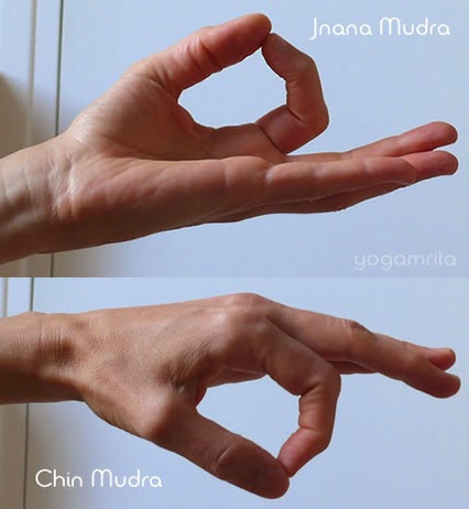 Jnana Mudra Chin Mudra