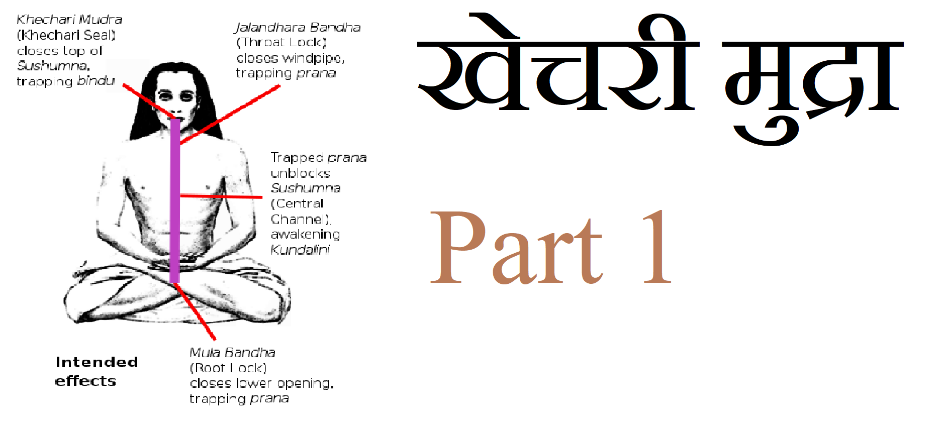 Khecarī mudrā - Meaning, Description and Benefits