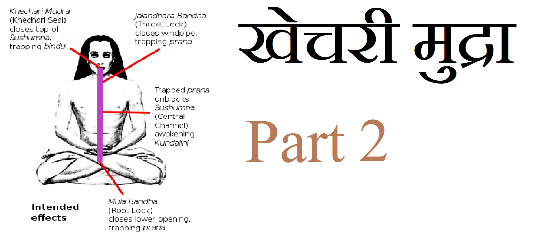 Khecarī mudrā - Instructions, Procedure & Warnings