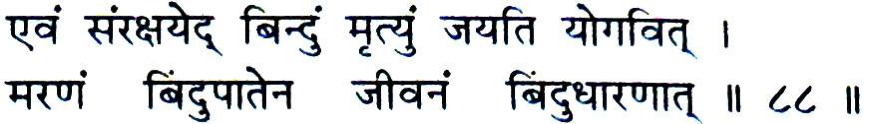 Vajroli Mudra, Nofap verse 88

एवं संरक्षयेद ् िबन्दं ु मृत्यंु जयित योगिवत ् ।
मरणं िबन्दुपातेन जीवनं िबन्दुधारणात् ।।८८।।