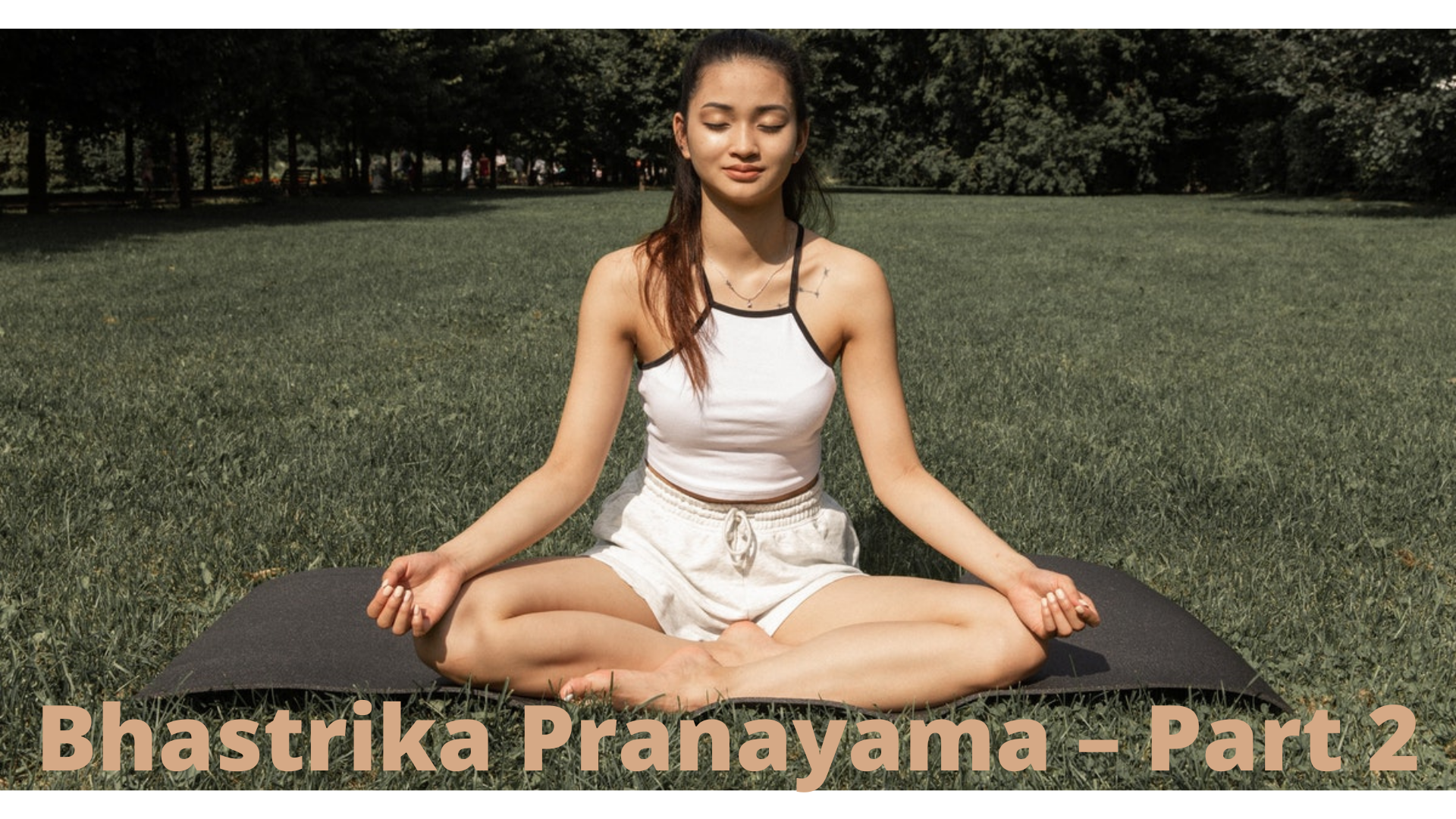Bhastrika Pranayama – Procedure, Precautions, Warnings
