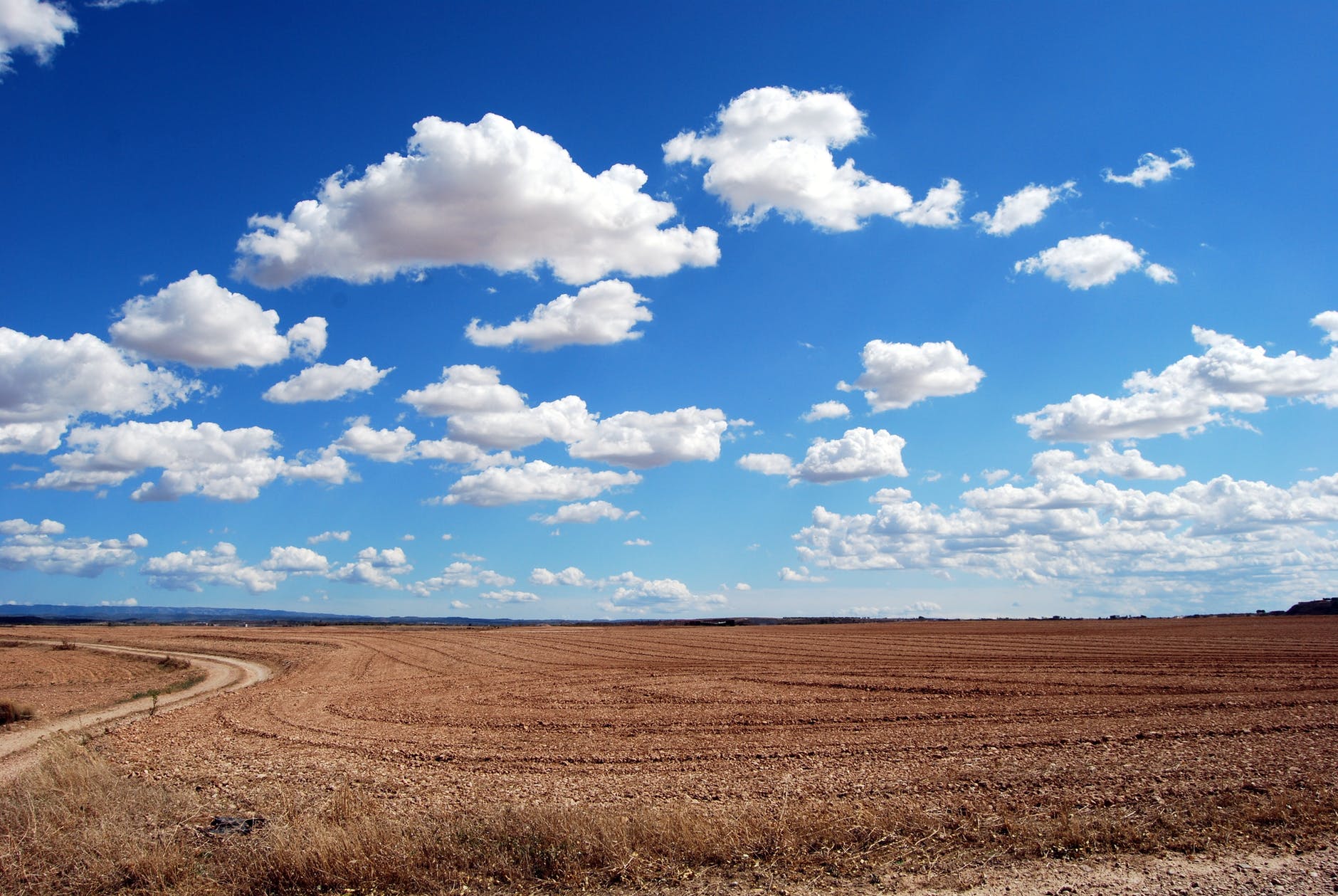 brown field and blue sky
yoga sutra