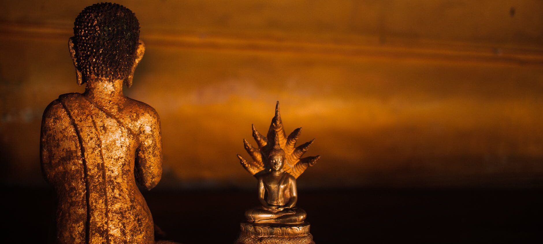 gold buddha figurine on brown wooden table