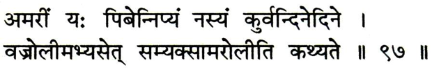Sanskrit sloka on Amaroli -

अमरीं य: िपबेिन्नत्यं नस्यं कुवर्िन्दने िदने ।
वज्रोलीमभ्यसेत् सम्यक्सामरोलीित कथ्यते ।।९७।।