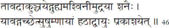 Ashwini Mudra Quote V. 36, ch. 4 The Gheranda Samhita