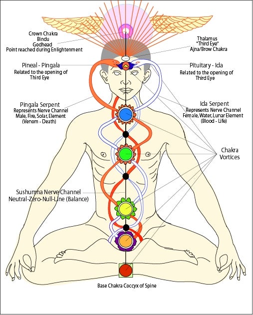 Image Showing Different Chakras In The Body