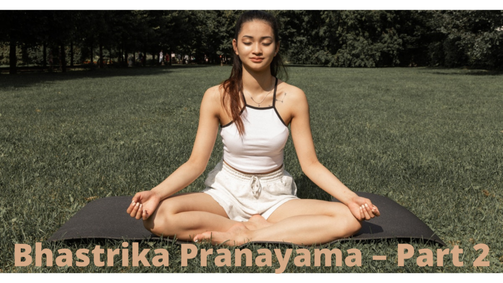 5 Minute Prayanama |प्राणायाम |भस्त्रिका प्रणायाम ( Bhastrika Pranayama )  करने का तरीका फायदा |*Yoga - video Dailymotion