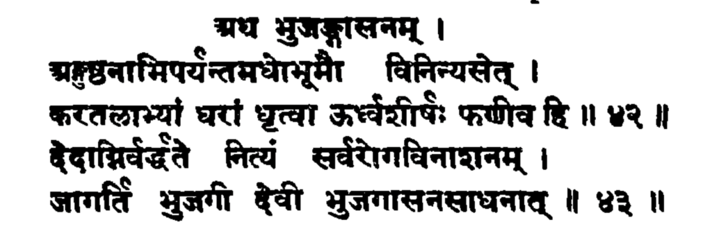 Sanskrit text of Bhujangasana:
अथ भुजङ्गासनम् ।
अङ्गुष्ठनाभिपर्यन्तमधोभूमौ विनिन्यसेत् ।
करतलाभ्यां धरां धृत्वोर्ध्वं शीर्षं फणीव हि ॥ ४३॥
देहाग्निर्वर्धते नित्यं सर्वरोगविनाशनम् ।
जागर्ति भुजगी देवी साधनाद्भुजङ्गासनम् ॥ ४४॥
