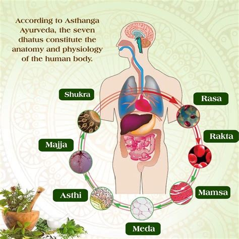 Ojas Meaning In Ayurveda