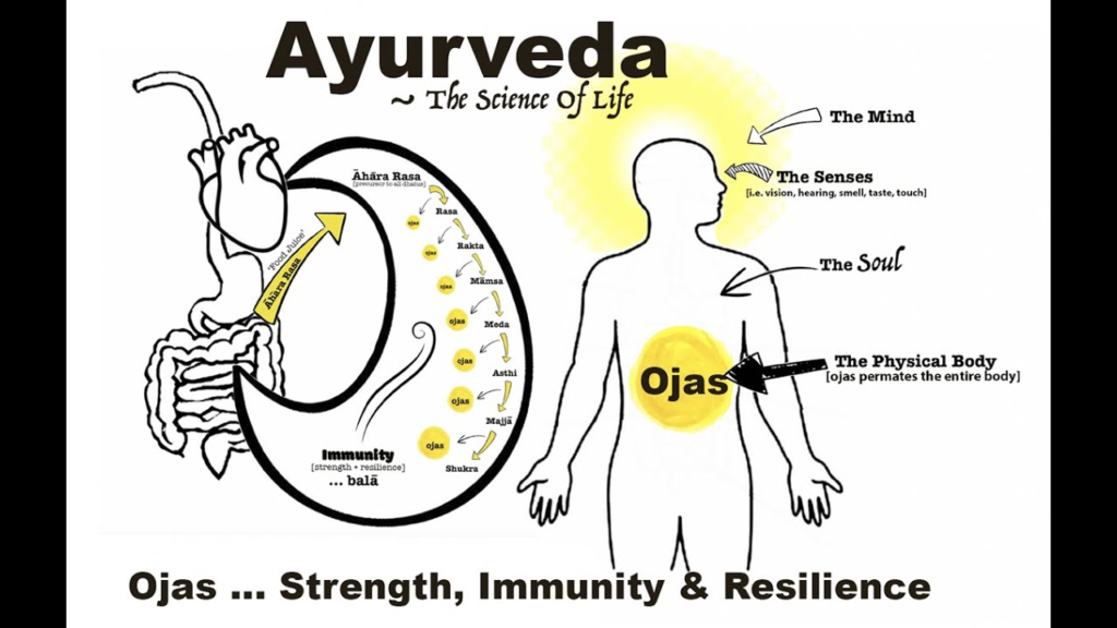 Ojas Meaning: Strength, Immunity and Resilience